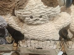 -TheGreenParty(槐房万达店)