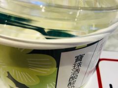 雪域酸奶-宝珠奶酪(浦东金桥店)