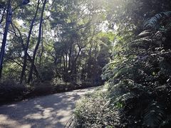 -广州市帽峰山景区