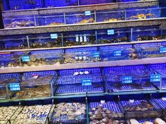 -青蓬蒸汽海鲜·深圳老字号·团建聚会(壹方城店)