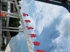 -石家庄市植物园