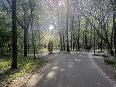 -廊坊市自然公园