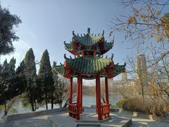 -莱西月湖公园