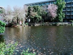 -黄埔古港