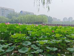 -中国农业博物馆