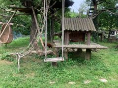 -宁波野生动物园