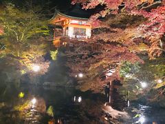 -醍醐寺
