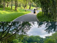 -云溪植物园