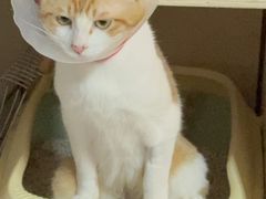 -美联众合动物医院·24h京西诊疗中心