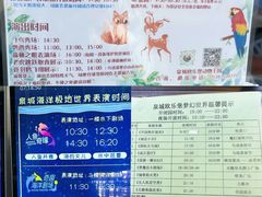 -泉城欧乐堡梦幻世界