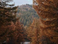 -苏木山森林公园