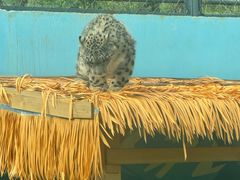 -青藏高原野生动物园