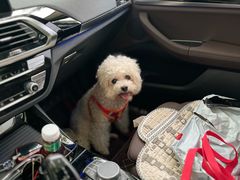 -萌兽医馆·犬猫专科·眼科中心·宠物医院(朝阳门分院)