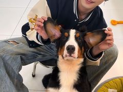 -汪说·狗咖·拼豆·宠物周边DIY(旺城大厦店)