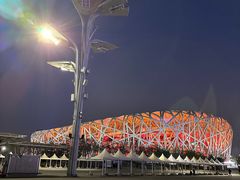 -小吊梨汤·北京菜·烤鸭(鸟巢店)