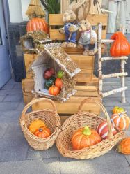 -Bonpoint(比斯特上海购物村店)