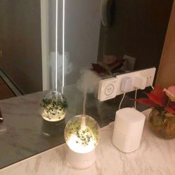 -厦门安达仕酒店·衡境SPA