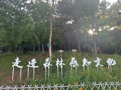 -北京西山国家森林公园