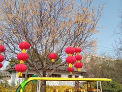 -千佛山风景名胜区