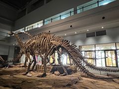 -自贡恐龙博物馆
