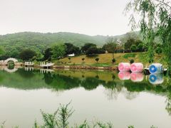 -龙寺生态园