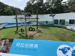 -西霞口神雕山野生动物世界