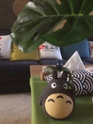 -觅屿日式脱毛美肤