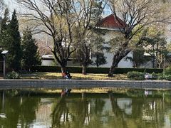 -团结湖公园