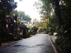 -龙井村