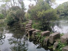 -花溪公园