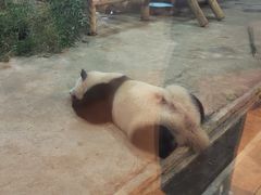 -西安秦岭野生动物园