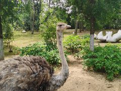 -大连森林动物园