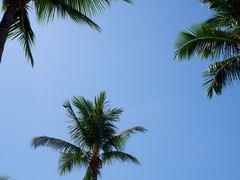 -三亚蜈支洲岛旅游区