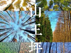-山王坪喀斯特国家生态公园