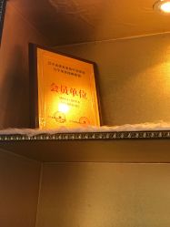 -归真美学颜究中心