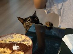 -EATALIA意塔利意式餐厅(鼓楼店)