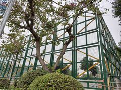 -纪念孙中山市政公园