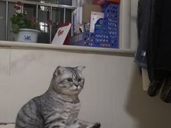 -原麦山丘(新中关店)