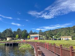 -海南热带雨林国家公园吊罗山景区
