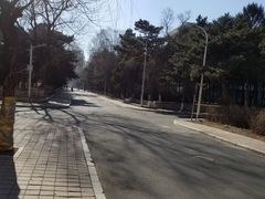 -吉林大学(南岭校区)