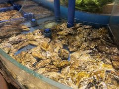 -小螺号海鲜·地道鲁菜(泉城广场店)