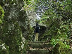 -山王坪喀斯特国家生态公园