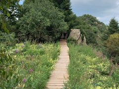 -白草畔自然风景区