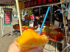 -硇洲岛旅游区
