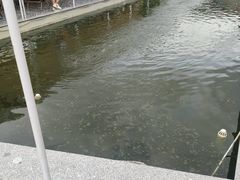 -DGE季风钓虾营地·团建·聚会