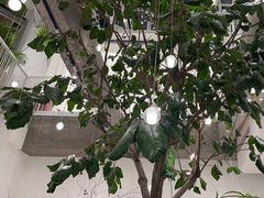 -大树餐厅(红旗街万达店)