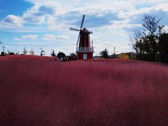 -羊亭河湿地公园