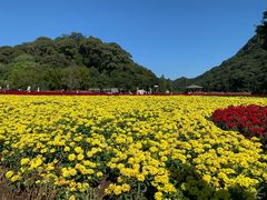 -广州市石门国家森林公园