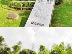 -苏州河梦清园环保主题公园