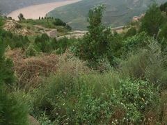 -天下黄河第一湾